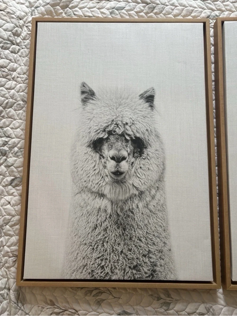 Kate and Laurel Sylvie Alpaca 2pc Framed Canvas Wall Art 33in Vertical, White